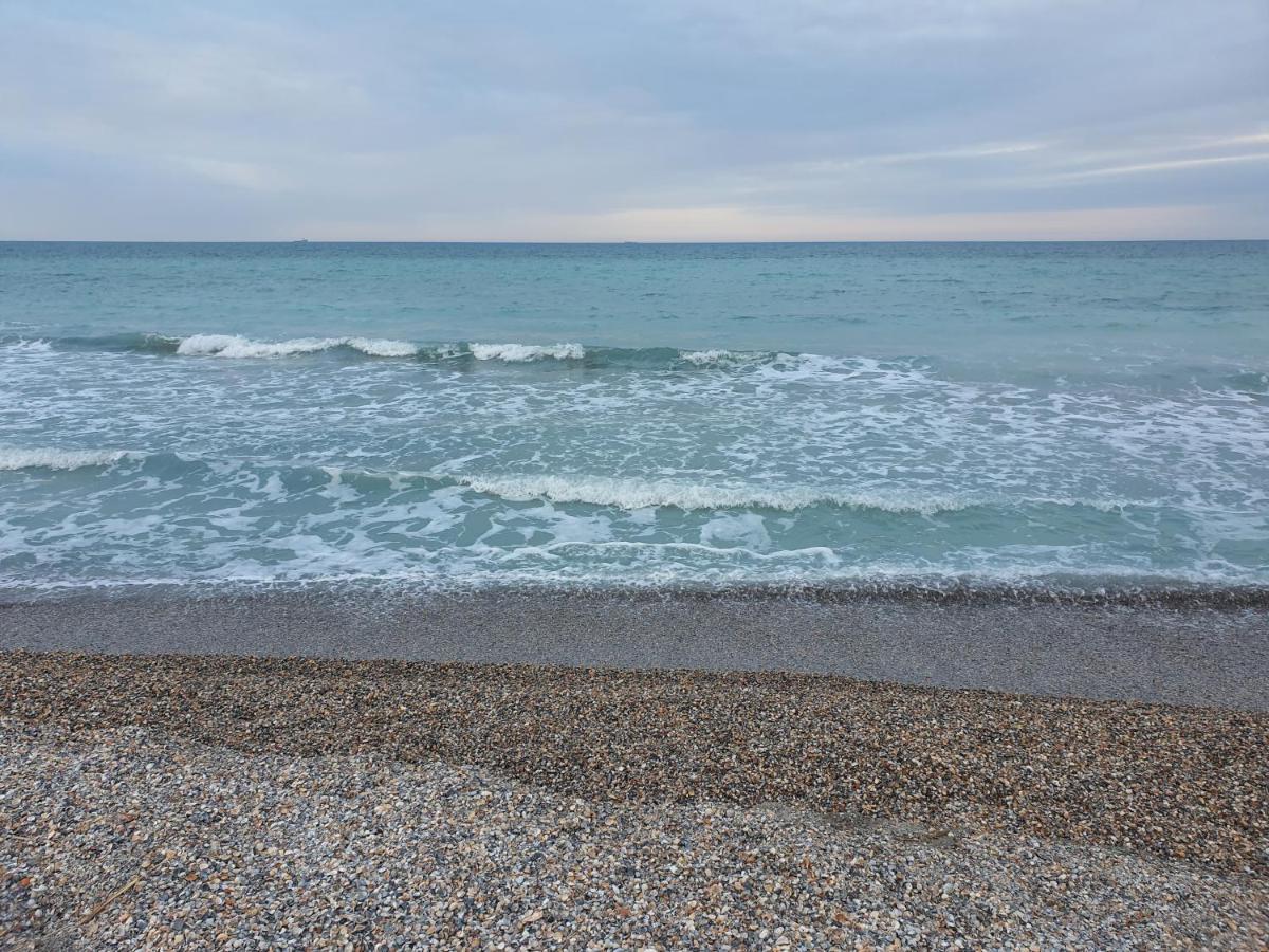 Alegria Summerland Mamaia Dış mekan fotoğraf
